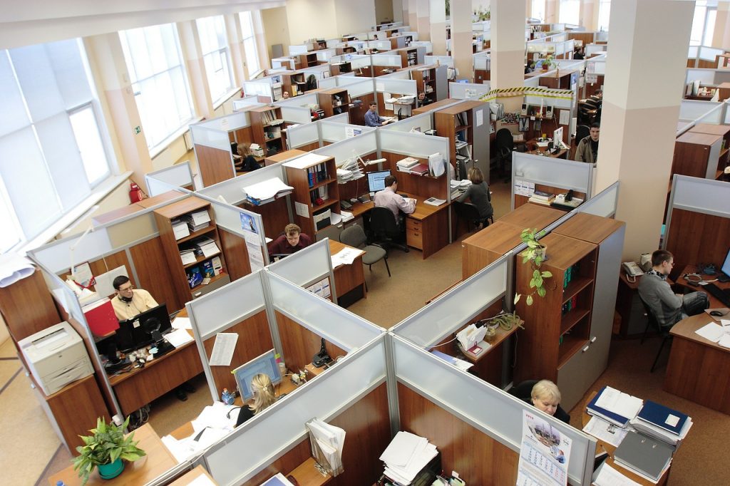 Top view of employees working in cubicles
